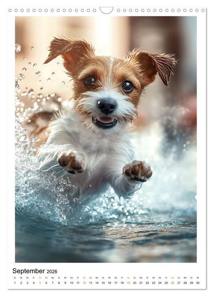 Produktbild: Hunde Lieblinge (Wandkalender 2026 DIN A3 hoch), CALVENDO Monatskalender