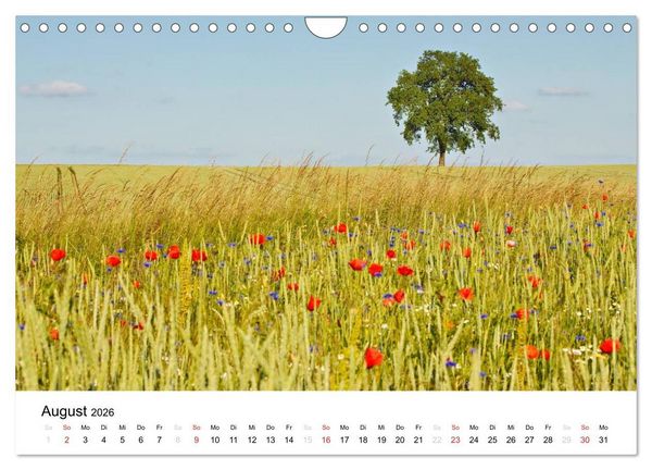 Produktbild: Landschaften (Wandkalender 2026 DIN A4 quer), CALVENDO Monatskalender