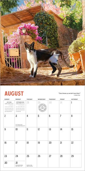 Produktbild: Travel Cats Wall Calendar 2026
