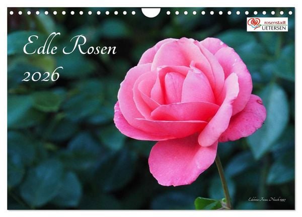 Produktbild: Edle Rosen (Wandkalender 2026 DIN A4 quer), CALVENDO Monatskalender