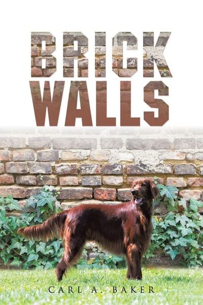 Produktbild: Brick Walls