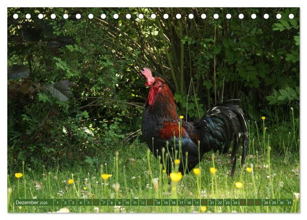 Produktbild: Hannoversches Wendland Vertr&auml;umtes Landleben (Tischkalender 2026 DIN A5 quer), CALVENDO Monatskalender