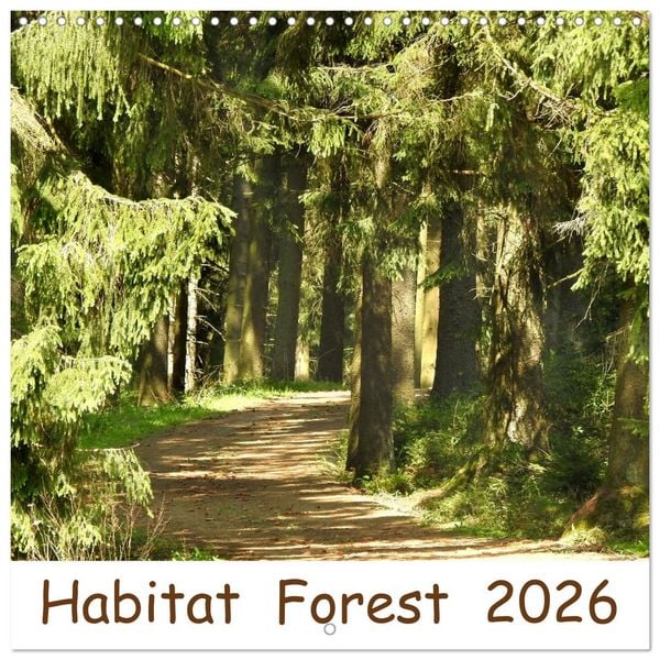 Produktbild: Habitat Forest (Wall Calendar 2026 12 &times; 12 Inch) CALVENDO 12 Month Wall Calendar