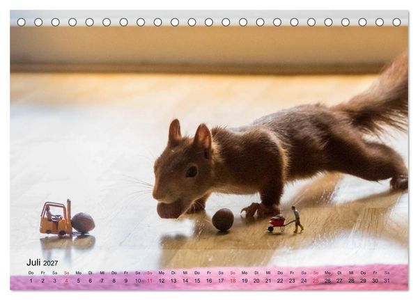 Produktbild: Spa&szlig; mit Eichh&ouml;rnchen! (Tischkalender 2027 DIN A5 quer), CALVENDO Monatskalender