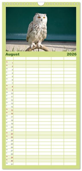 Produktbild: Familienplaner 2026 - Eulen. W&auml;chter der Nacht mit 5 Spalten (Wandkalender, 21 x 45 cm) CALVENDO