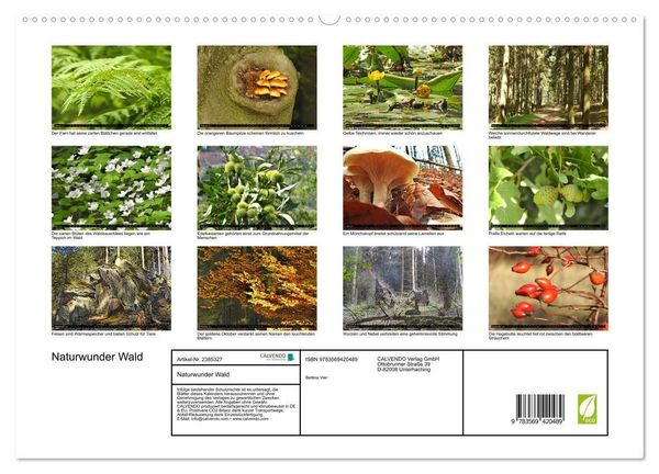 Produktbild: Naturwunder Wald (hochwertiger Premium Wandkalender 2027 DIN A2 quer), Kunstdruck in Hochglanz