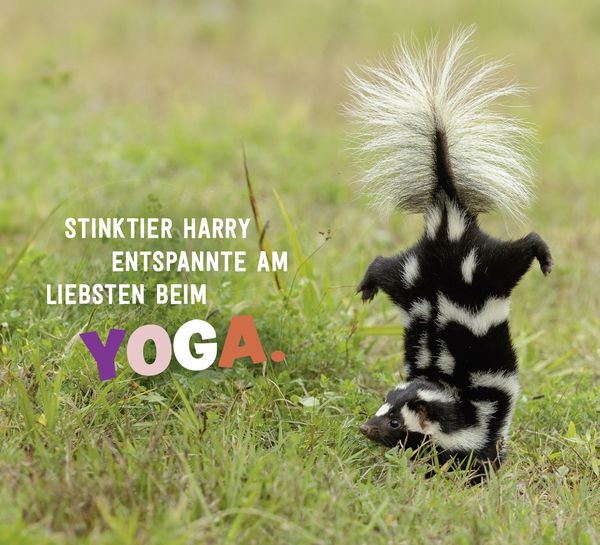 Produktbild: Tierisch gechillt!