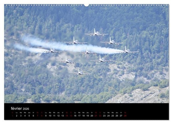 Produktbild: Les Frecce Tricolori (Calendrier mural 2026 DIN A2 vertical) calendrier de bureau