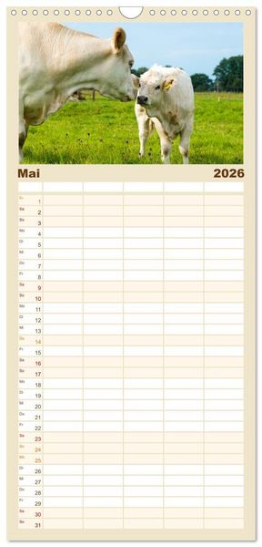 Produktbild: Familienplaner 2026 - Geliebte Tiere auf dem Bauernhof mit 5 Spalten (Wandkalender, 21 x 45 cm) CALVENDO