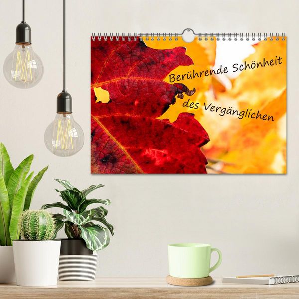 Produktbild: Ber&uuml;hrende Sch&ouml;nheit des Verg&auml;nglichen (Wandkalender 2026 DIN A4 quer), CALVENDO Monatskalender