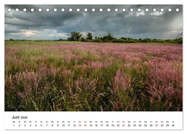 Produktbild: Tollense Landschaften (Tischkalender 2026 DIN A5 quer), CALVENDO Monatskalender