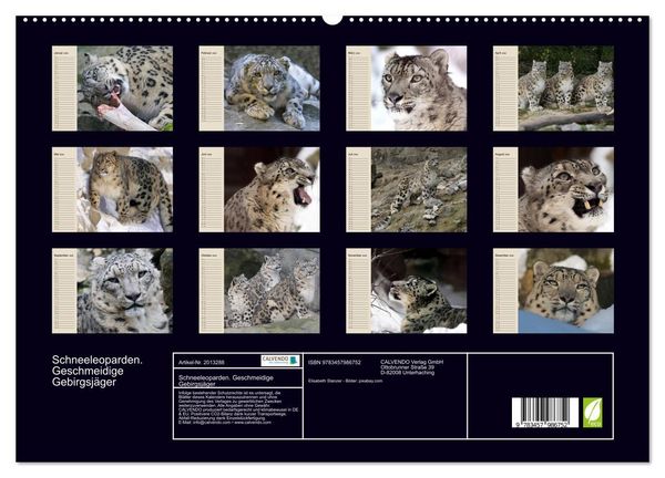 Produktbild: Schneeleoparden. Geschmeidige Gebirgsj&auml;ger (hochwertiger Premium Wandkalender 2026 DIN A2 quer), Kunstdruck in Hochglanz