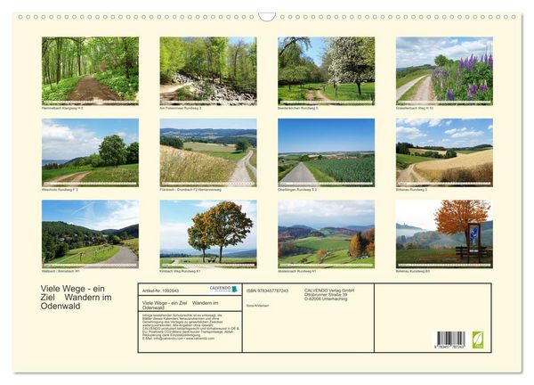 Produktbild: Viele Wege - ein Ziel Wandern im Odenwald (Wandkalender 2026 DIN A2 quer), CALVENDO Monatskalender