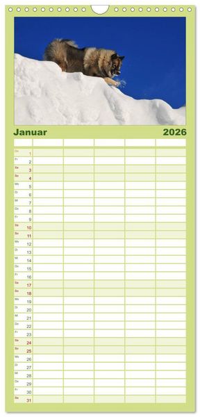 Produktbild: Familienplaner 2026 - Der Wolfsspitz mit 5 Spalten (Wandkalender, 21 x 45 cm) CALVENDO