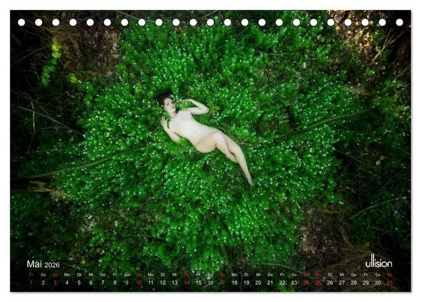 Produktbild: ZAUBERWALD Mystik der Natur (Tischkalender 2026 DIN A5 quer), CALVENDO Monatskalender