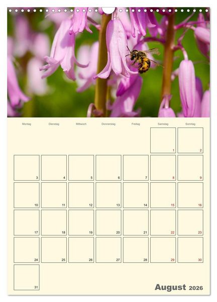 Produktbild: Bienen im Naturgarten (Wandkalender 2026 DIN A3 hoch), CALVENDO Monatskalender