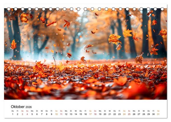 Produktbild: Natur im Jahr (Tischkalender 2026 DIN A5 quer), CALVENDO Monatskalender