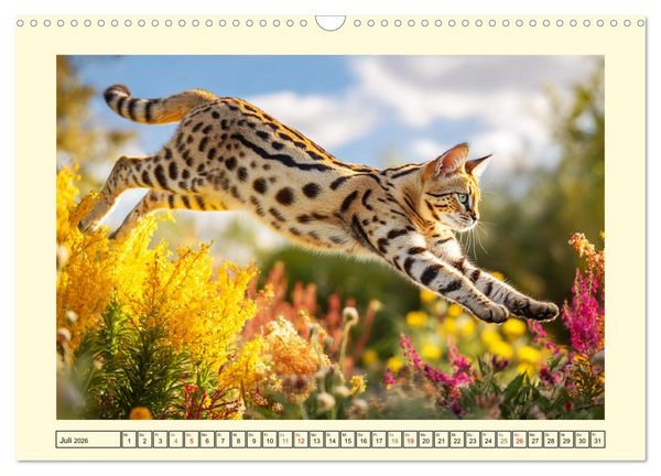 Produktbild: Savannah Katzen. Exotische Wildsch&ouml;nheiten im Naturgarten (Wandkalender 2026 DIN A3 quer), CALVENDO Monatskalender