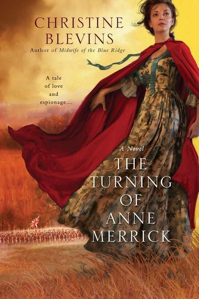 Produktbild: The Turning of Anne Merrick