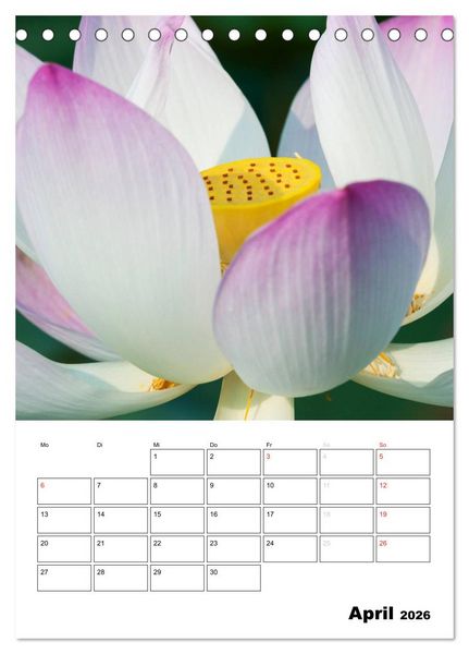 Produktbild: MEDITATION - Wellness f&uuml;r die Seele (Tischkalender 2026 DIN A5 hoch), CALVENDO Monatskalender
