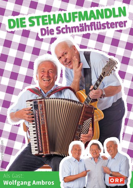 Produktbild: Die Stehaufmandln - Die Schm&auml;hfl&uuml;sterer