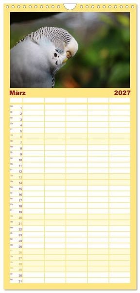 Produktbild: Familienplaner 2027 - Wellensittichkalender! - Das Original mit 5 Spalten (Wandkalender, 21 x 45 cm) CALVENDO