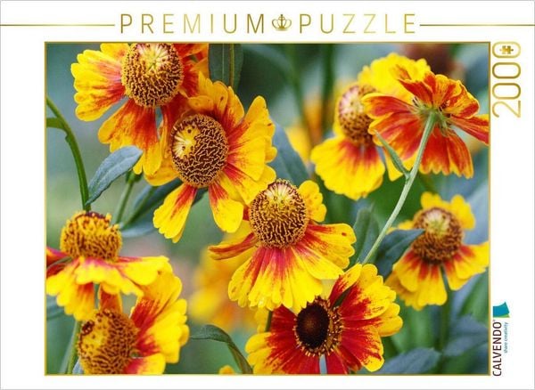 Produktbild: CALVENDO Puzzle Sonnenbraut Helenium | 2000 Teile Lege-Gr&ouml;&szlig;e 90x67cm Foto-Puzzle f&uuml;r gl&uuml;ckliche Stunden