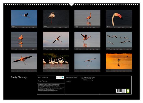 Produktbild: Pretty Flamingo (Wandkalender 2026 DIN A2 quer), CALVENDO Monatskalender