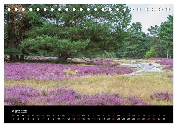 Produktbild: L&uuml;neburger Heide (Tischkalender 2027 DIN A5 quer), CALVENDO Monatskalender