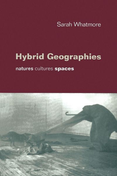 Produktbild: Hybrid Geographies