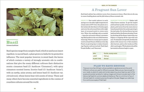 Produktbild: The Beginner's Guide to Edible Herbs