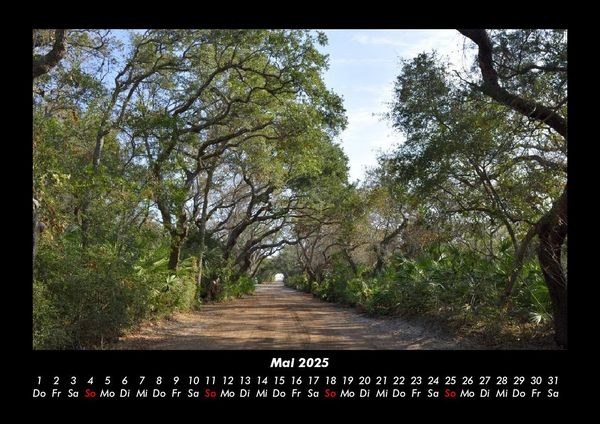 Produktbild: B&auml;ume 2025 Fotokalender DIN A3