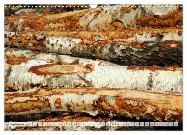 Produktbild: HOLZ - Stapel und St&auml;mme (Wandkalender 2026 DIN A3 quer), CALVENDO Monatskalender