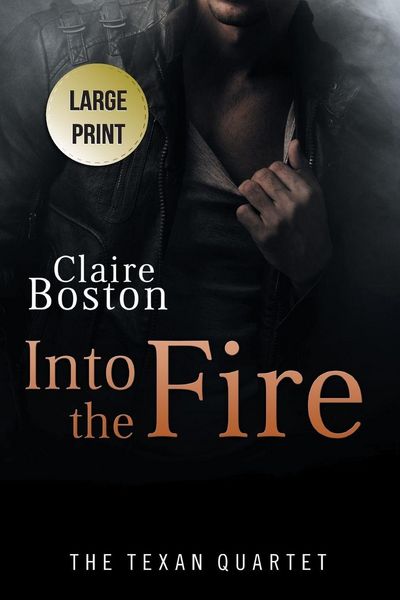 Produktbild: Into the Fire