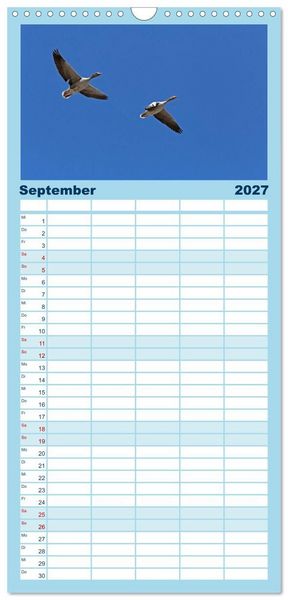 Produktbild: Familienplaner 2027 - V&ouml;gel im Flug - Akrobaten der L&uuml;fte mit 5 Spalten (Wandkalender, 21 x 45 cm) CALVENDO
