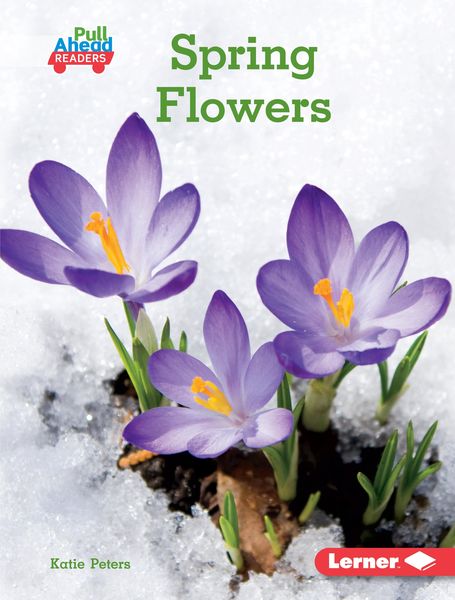 Produktbild: Spring Flowers