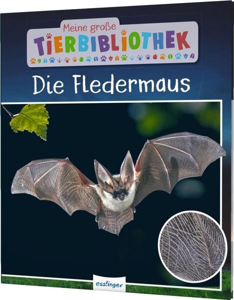 Meine große Tierbibliothek: Die Fledermaus, Gebundene Ausgabe von Jens Poschadel,Antje Möller, Esslinger in der Thienemann-Esslinger Verlag GmbH,