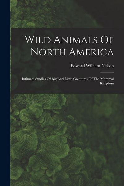 Produktbild: Wild Animals Of North America: Intimate Studies Of Big And Little Creatures Of The Mammal Kingdom