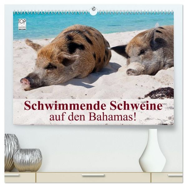Schwimmende Schweine auf den Bahamas! (hochwertiger Premium Wandkalender 2026 DIN A2 quer), Kunstdruck in Hochglanz