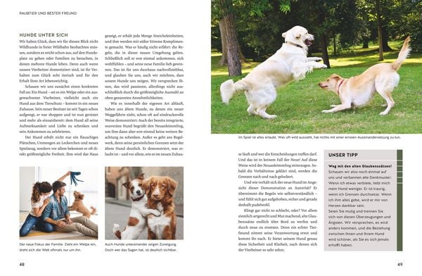 Produktbild: Typgerechte Hundeerziehung