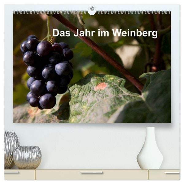 Produktbild: Das Jahr im Weinberg (hochwertiger Premium Wandkalender 2026 DIN A2 quer), Kunstdruck in Hochglanz
