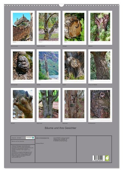 Produktbild: B&auml;ume und ihre Gesichter (Wandkalender 2027 DIN A2 hoch), CALVENDO Monatskalender