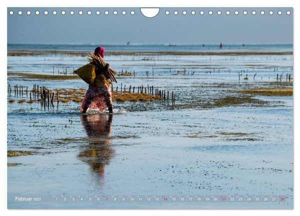 Produktbild: Sansibar - Impressionen von Rolf Dietz (Wandkalender 2027 DIN A4 quer), CALVENDO Monatskalender