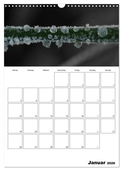 Produktbild: schwarz/wei&szlig; trifft farbe - DEIN TERMINKALENDER / Planer (Wandkalender 2026 DIN A3 hoch), CALVENDO Monatskalender