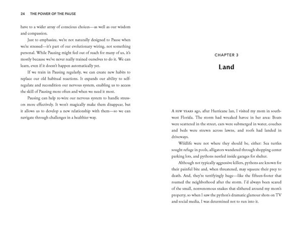 Produktbild: The Power of the Pause