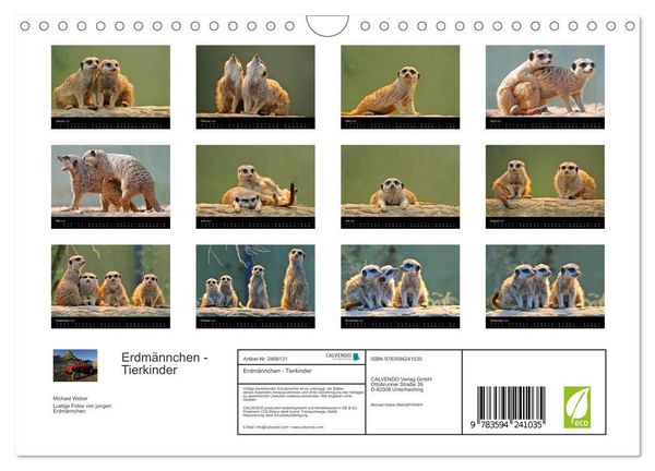 Produktbild: Erdm&auml;nnchen - Tierkinder (Wandkalender 2027 DIN A4 quer), CALVENDO Monatskalender