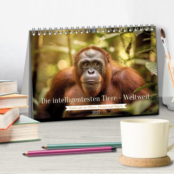 Produktbild: Die intelligentesten Tiere - Weltweit (Tischkalender 2027 DIN A5 quer), CALVENDO Monatskalender