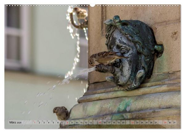 Produktbild: Augsburger Wasser (hochwertiger Premium Wandkalender 2026 DIN A2 quer), Kunstdruck in Hochglanz
