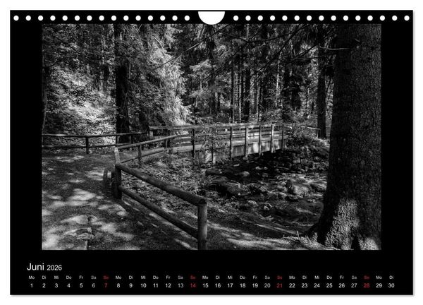 Produktbild: Harz-Bilder in monochrome (Wandkalender 2026 DIN A4 quer), CALVENDO Monatskalender