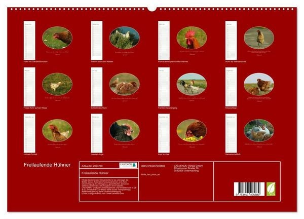 Produktbild: Freilaufende H&uuml;hner (hochwertiger Premium Wandkalender 2026 DIN A2 quer), Kunstdruck in Hochglanz